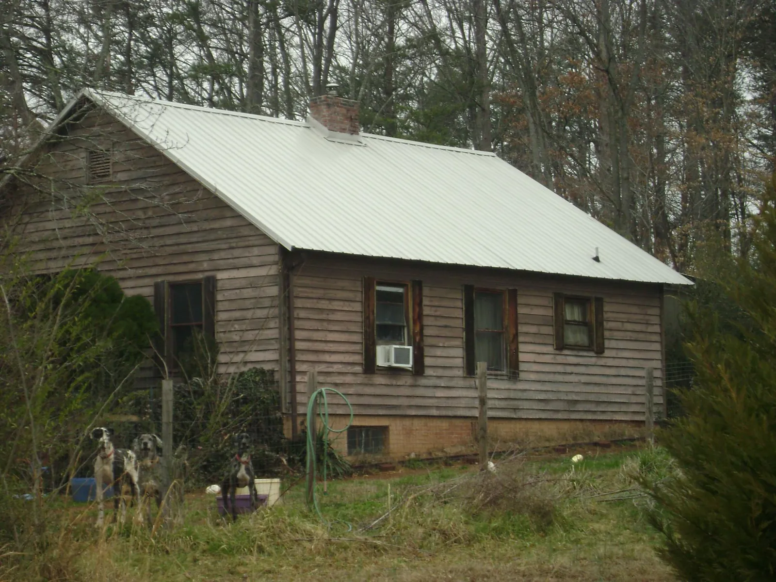 White metal roof on an old wood sided farmhouse, from a Asphalt Shingle Roof Repair job in Gwinner